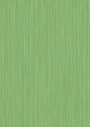 Плитка облицовочная Tropicana Cers зеленый 35*25  TCM021D